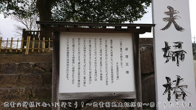 八重垣神社　夫婦椿　連理玉椿案内板