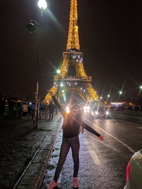 COMO PLANEEI A MINHA VIAGEM A PARIS 