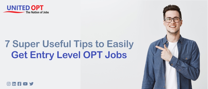 entry level opt jobs