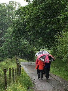 Country lane in the Lake District in the rain