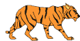 tigeranm[60]