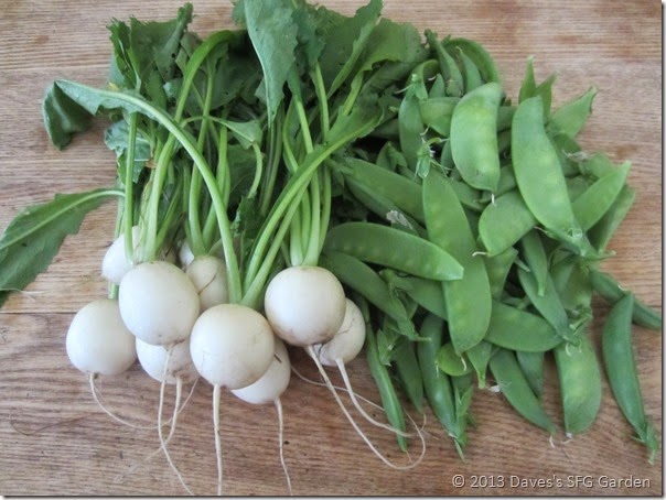 turnips&peas