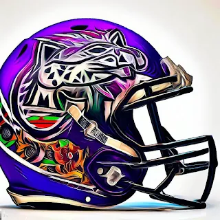 Northwestern Wildcats Concept Football Helmets