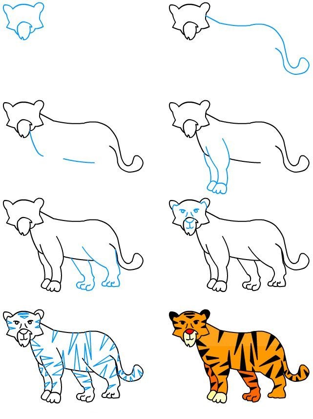 اشرب ماء عنصري مغامرة طريقة رسم النمر للاطفال - becauseweventure.com