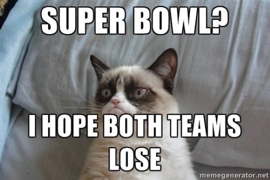 Grumpy Cat Memes