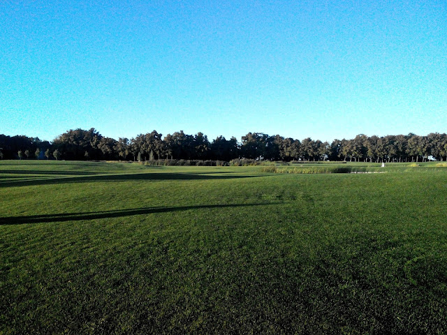 Межигорье поле для гольфа