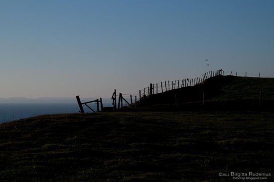 skane_20111016_coastline