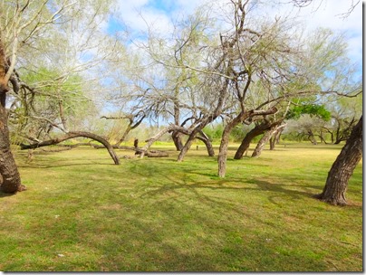 World Birding Center