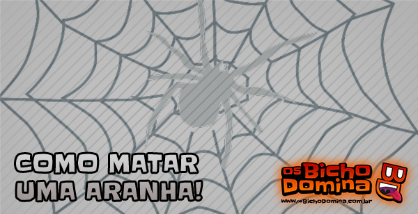 Aprenda como Matar um Aranha!