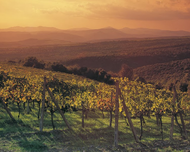  Montalcino, Tuscany, Italy. 