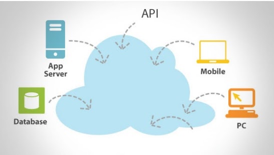 Dataverse Data Magic: Actions vs Web API Demystified