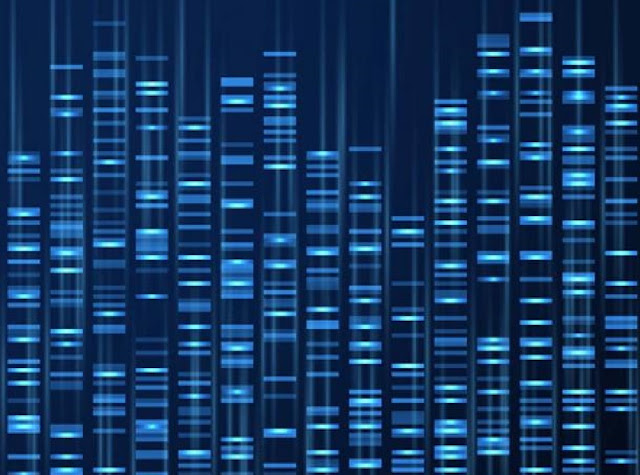 Последовательность генома ДНК, медицинская генетическая карта