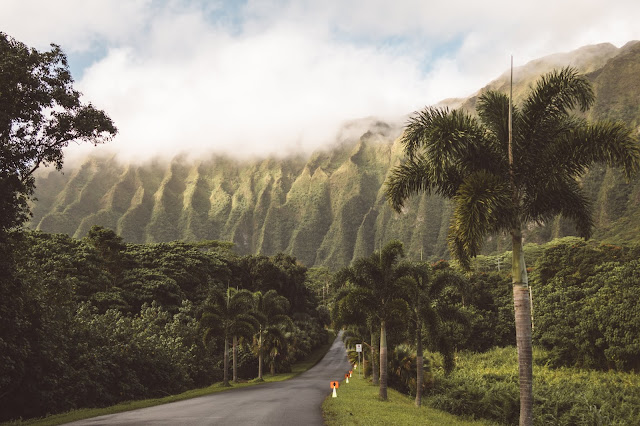 Hawaje wyspa OAHU - ile wydałam /KOSZTORYS, miejsca które odwiedziłam oraz parę wskazówek praktycznych  - Czytaj więcej