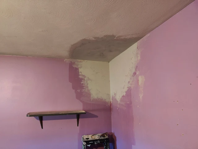 Wall & Ceiling Repair with plaster