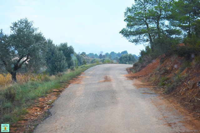 Carretera de acceso a La Pesquera