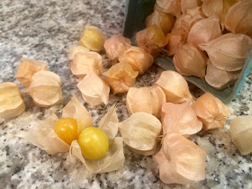 Ground Cherries