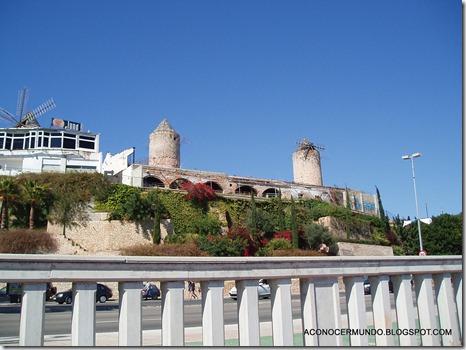 2-Palma de Mallorca. Paseo Marítimo. Molinos -P4140003