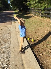 2014-10-07 16.21.21-1