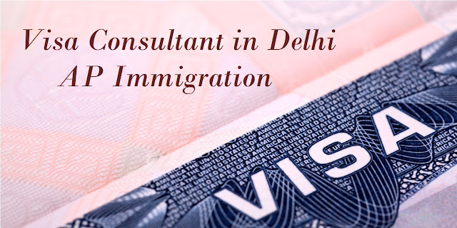 Pr visa immigration consultant in delhi