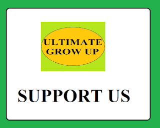 Support to ultimategrowup.com - Your Complete Business Helpdesk.