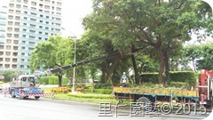IMAG6593