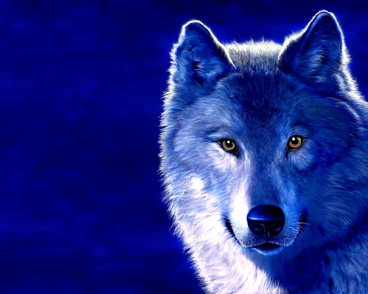 3D Wolf HD Desktop Best Quality Wallpapers | Top Quality ...