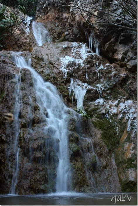 CARAMELLS PALISSANA elSocarraet  ©RfaPV (18)