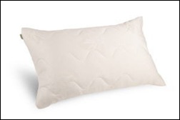 Aloe Dream Mate Pillow