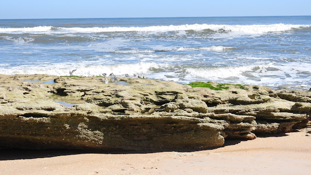 Washington Oaks Gardens State Park
