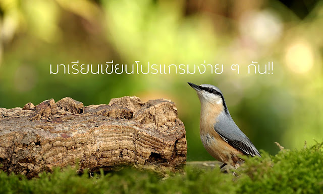 รูปภาพ