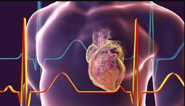 Latest Studies: Scientists Discover 'Microplastics' in Human Hearts for the First Time