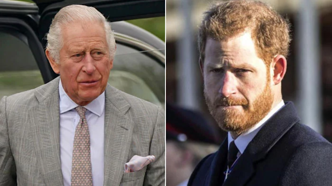 Prince Harry Receives 'Slap Down' from King Charles Amid 'Flimsy Excuses
