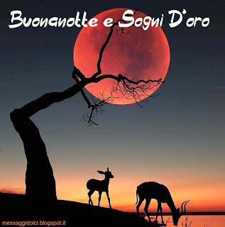 buonanotte e sogni doro frasi con immagini