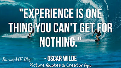 Quote of the Day (Experience)