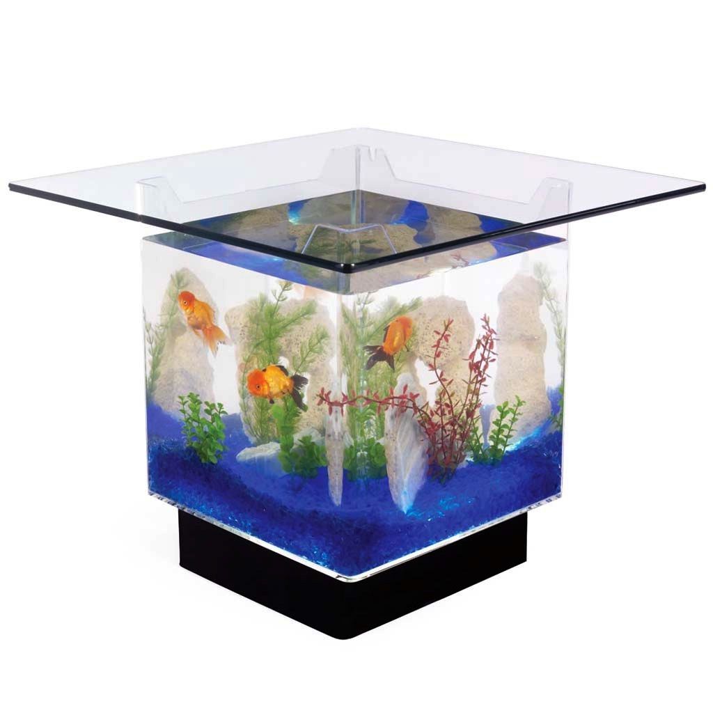  35 contoh model  dan harga meja tamu aquarium  unik dari  