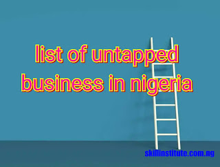 untapped business in nigeria