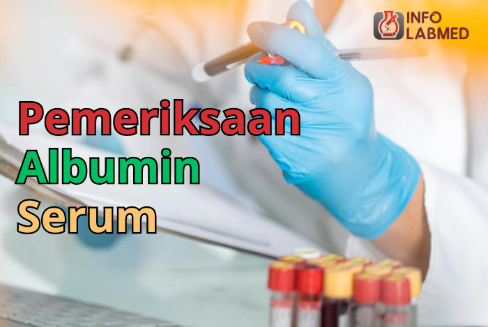 Semua yang Perlu Anda Ketahui Tentang Uji Darah Albumin (Serum)