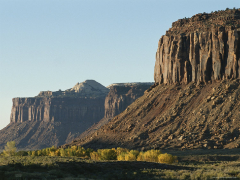 Autumn Red Rock Landscaping1