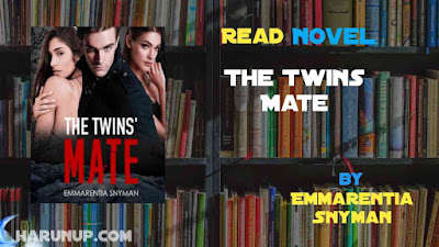 Read Novel The Twins Mate by Emmarentia Snyman Full Episode