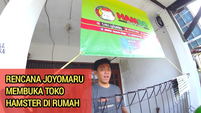 Rencana JOYOMARU Membuka Toko Hamster di Rumah