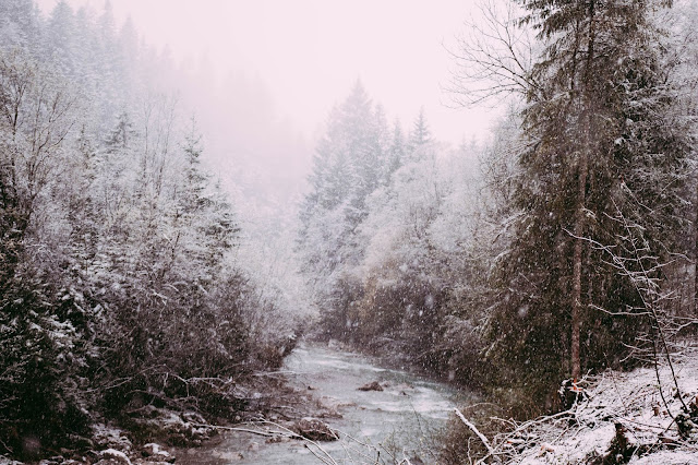 Natur, Tod, Trauer, Trauerverarbeitung, Schnee, Allgäu, Fluss