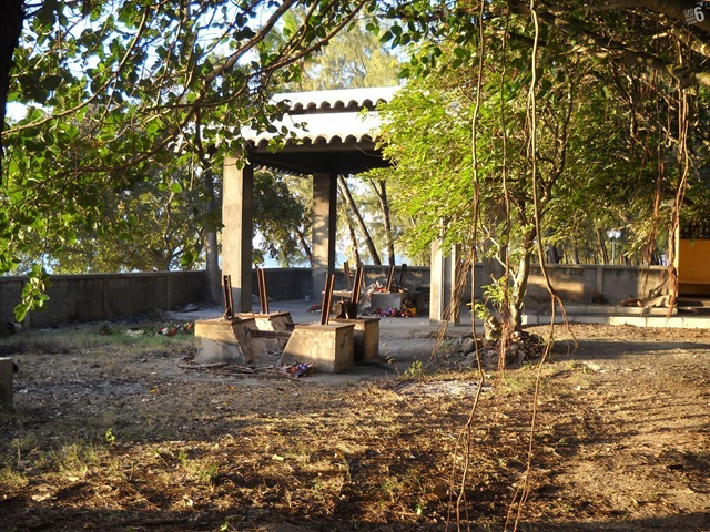 DSCN3951_2