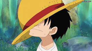 ワンピースアニメ 頂上戦争編 480話 ルフィ 幼少期 かわいい Monkey D. Luffy | ONE PIECE Episode 480