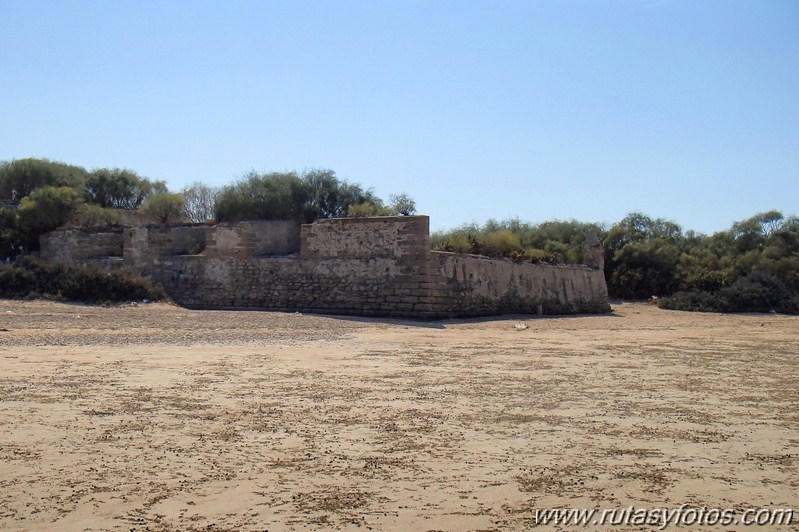 Kayak Camposoto - Castillo de Sancti Petri