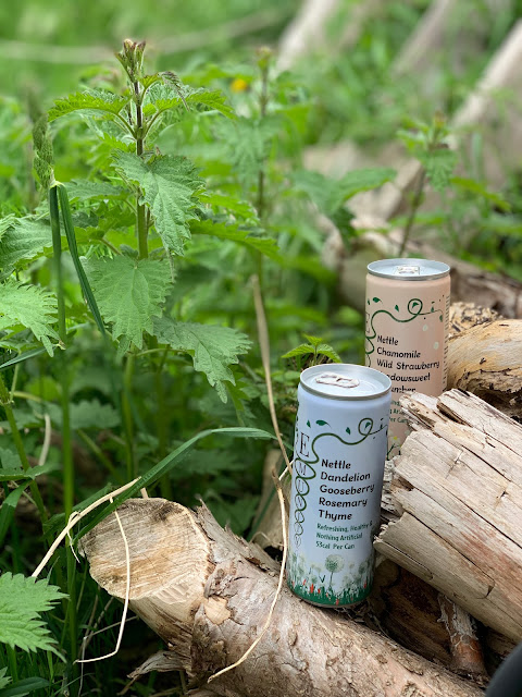 Emunity nettle health drink standing on logs in nettles