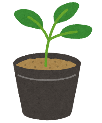 植物の苗のイラスト