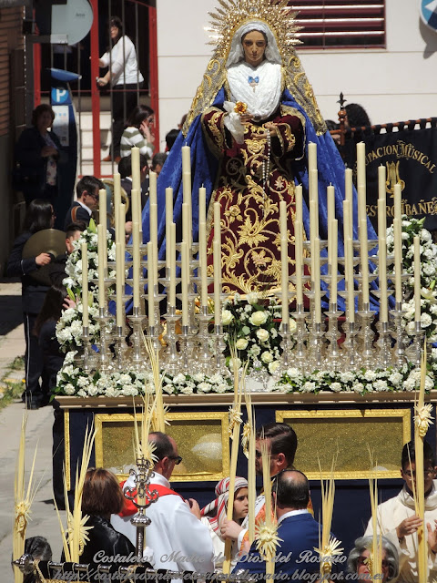 Crónica de la Semana Santa: Salida de la Borriquita y Virgen de la Soledad. parte V