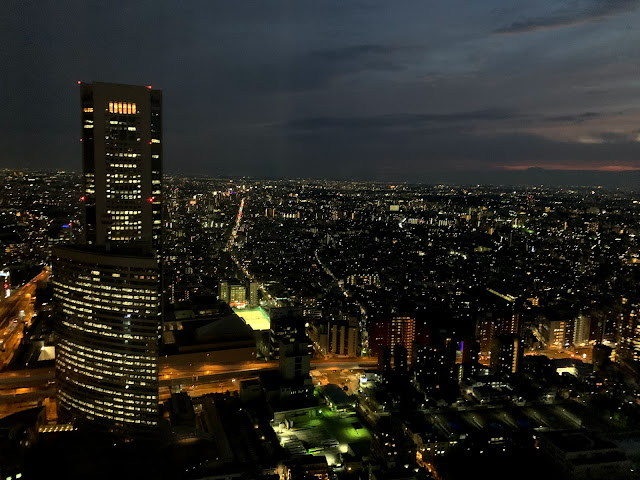 Park Hyatt Tokyo / Park Suite View