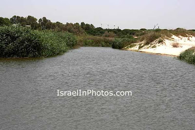 Nahal Poleg (Stream) Nature Reserve