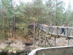 raised walkway tree top trail moors valley country park east dorset forestry commission tree top trail meon junior school outing